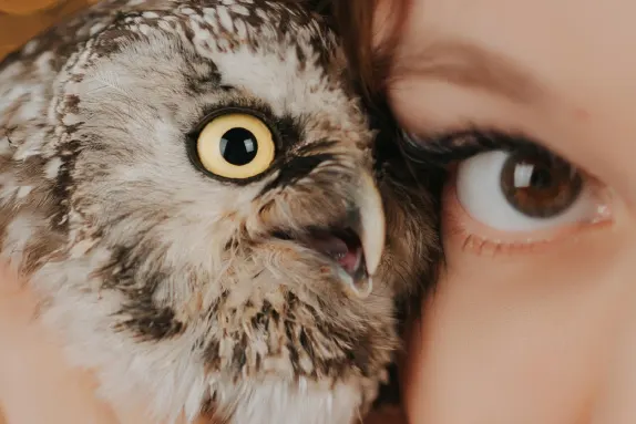 CasinoCasino Kasino Kundeservice